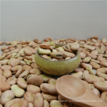 Высокое качество сушеных бобов консервированных бобов с различным размером